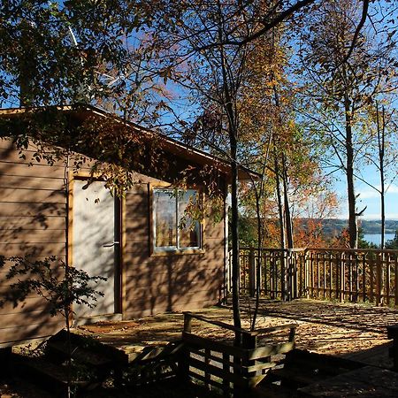 Cabanas Mas Ke Miel Población Población Lago Ranco Esterno foto